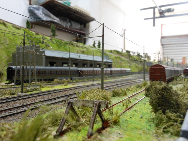 DSCN1596.JPG