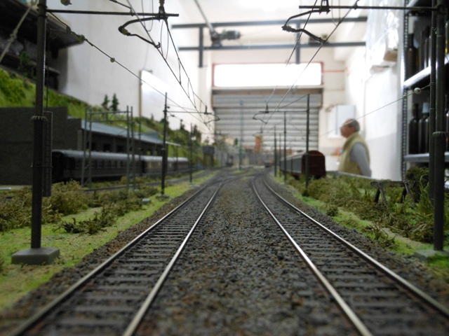 DSCN1597.JPG