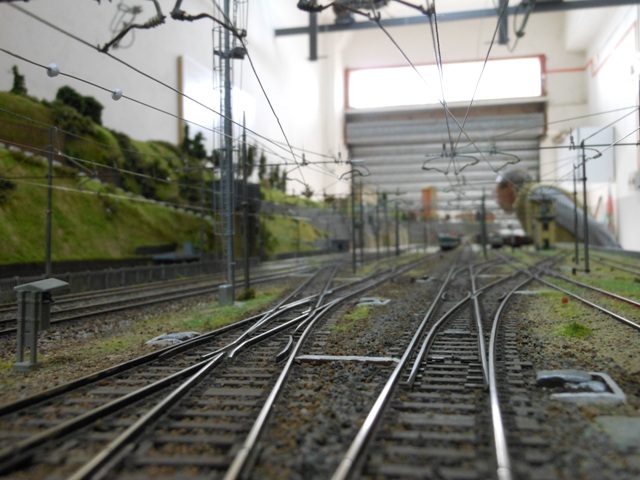 DSCN1600.JPG