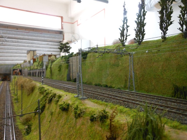 DSCN1619.JPG
