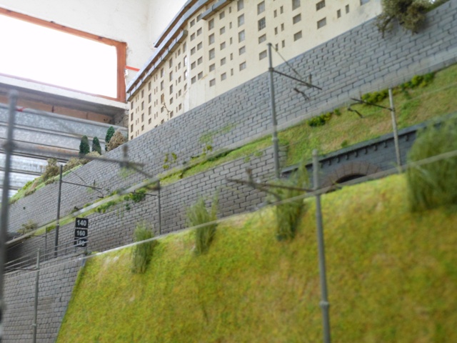 DSCN1637.JPG
