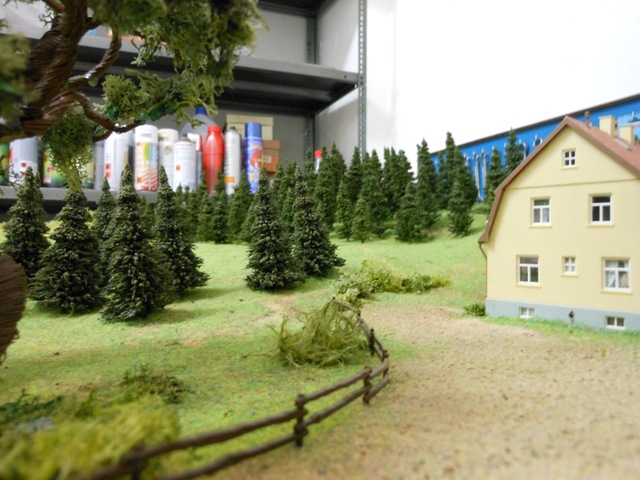 DSCN1655.JPG