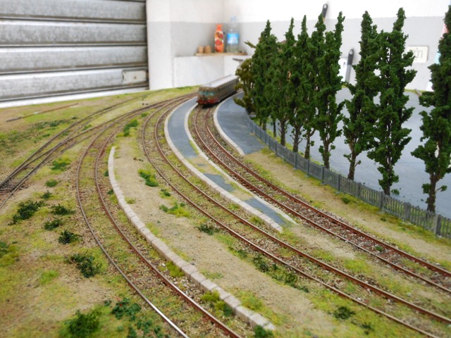 DSCN1671.JPG