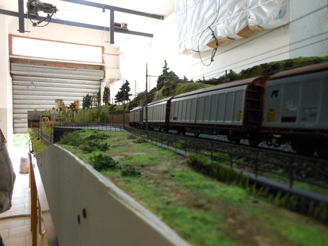DSCN1737.jpg