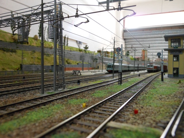 DSCN1609.jpg