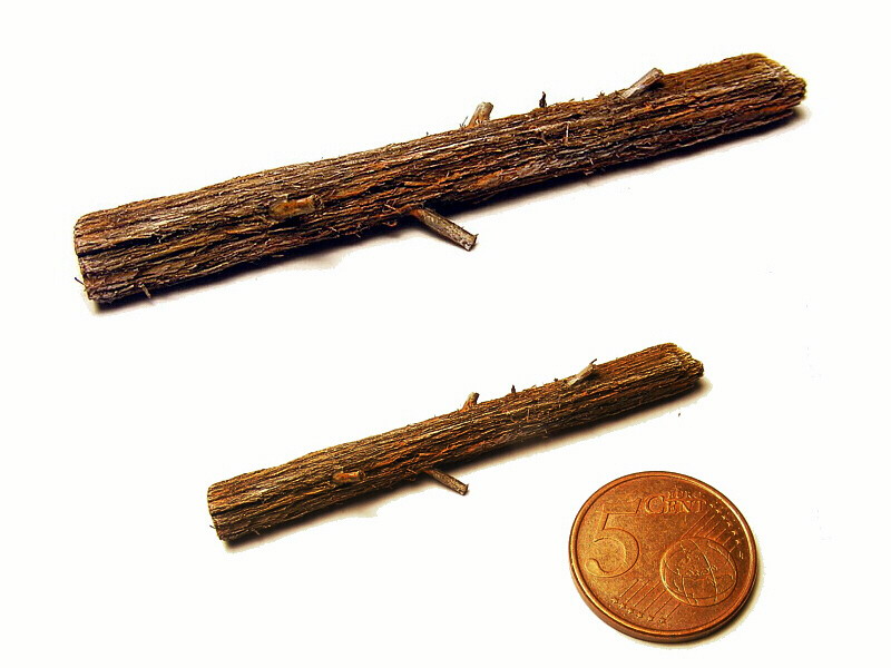 tronco abbattuto.jpg