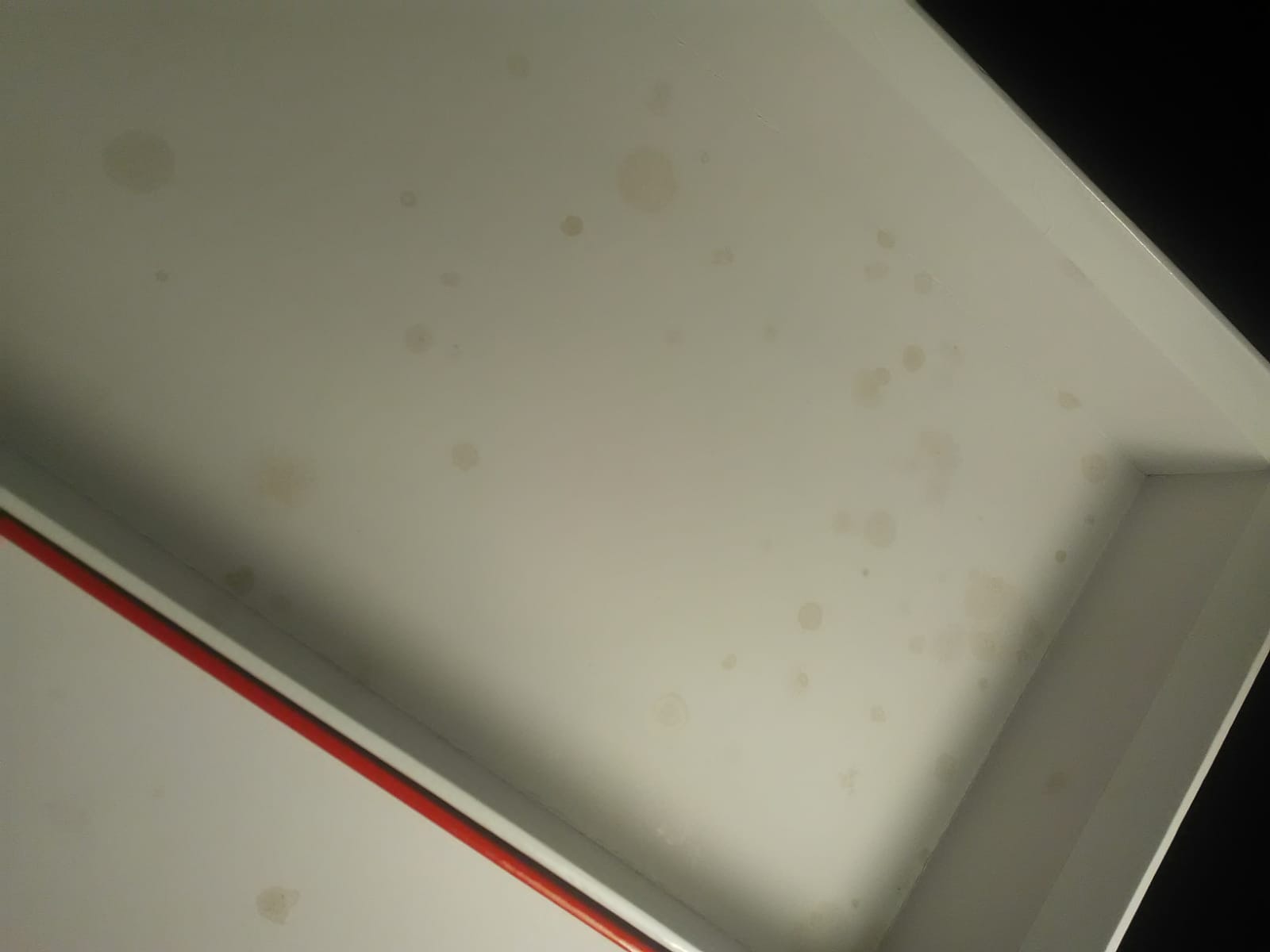 WhatsApp Image 2022-10-06 at 21.18.08.jpeg