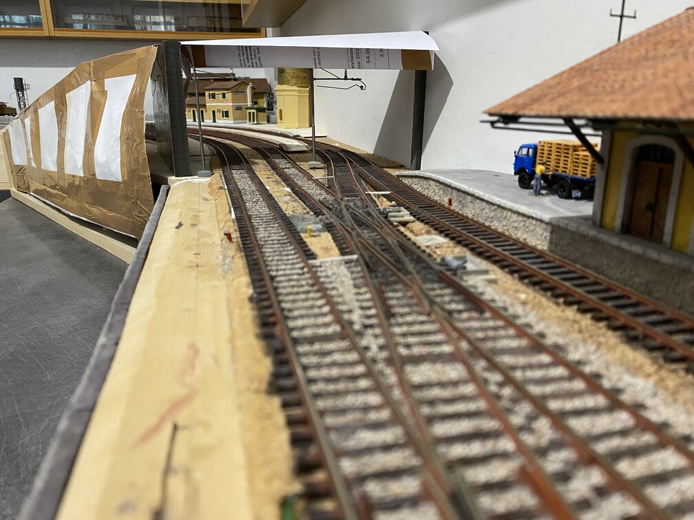 rsz_img_9996 (1).jpg