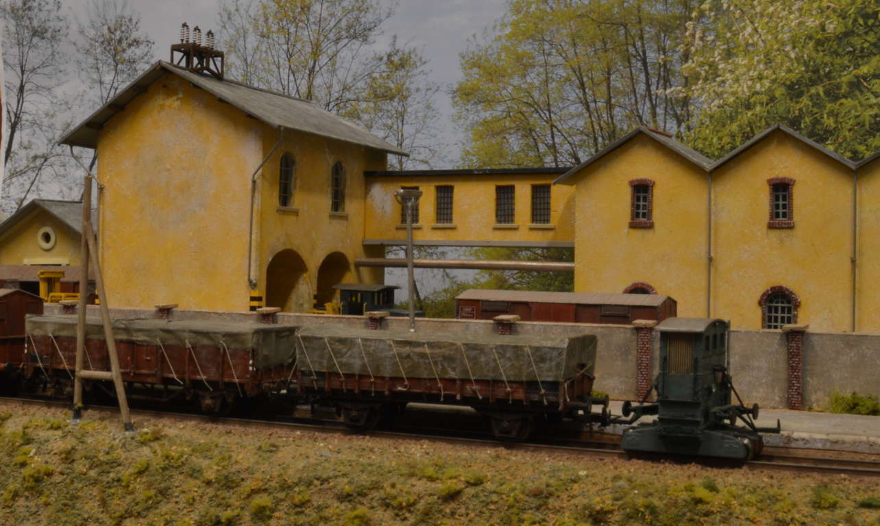 DSC_6384 (FILEminimizer).JPG