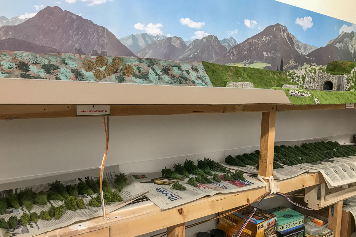 2023 03 03 - alberi pronti per la posa-3.jpg