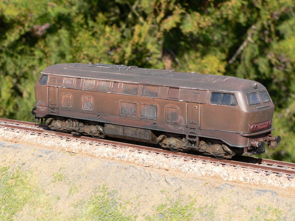 P1190821 (Medium).JPG