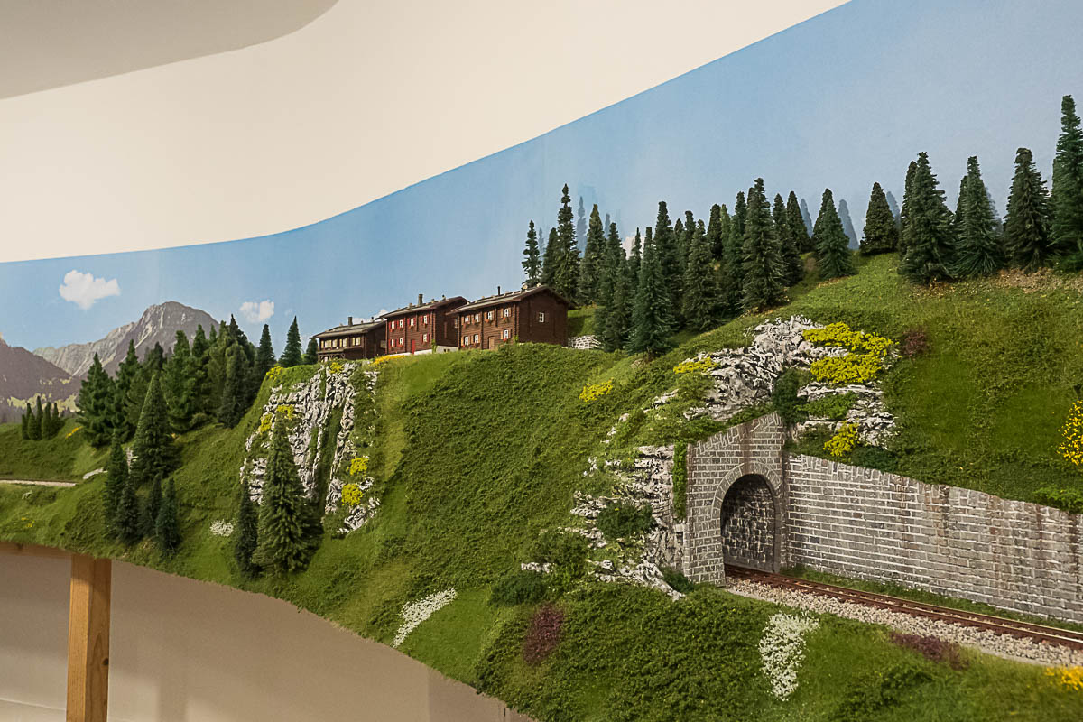 2023 03 24 - vegetazione-7.jpg