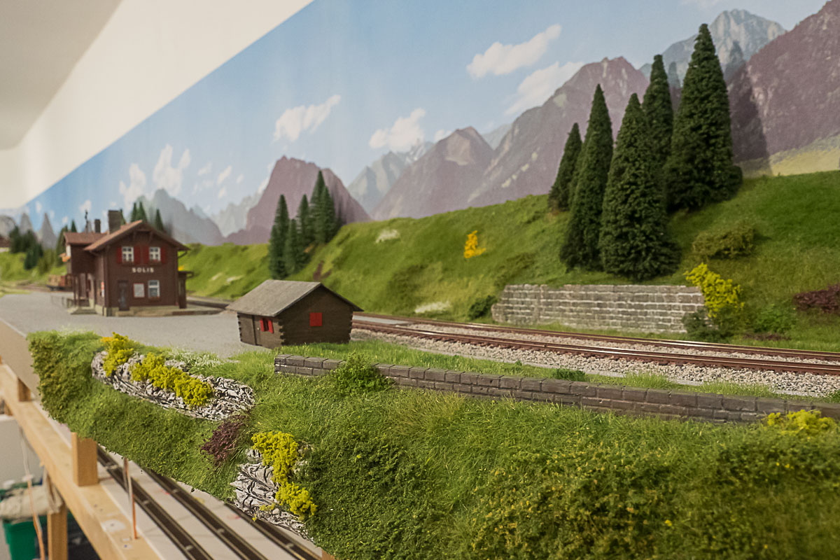 2023 03 24 - vegetazione-6.jpg