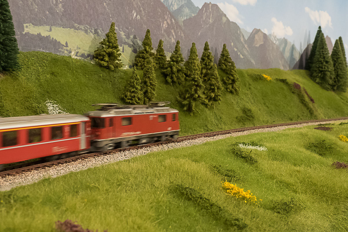 2023 03 24 - vegetazione-20.jpg