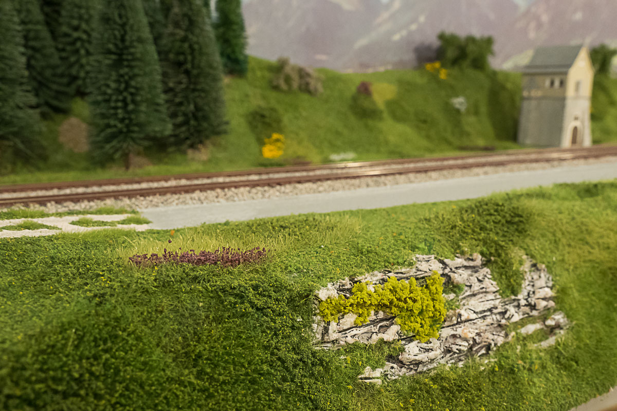 2023 03 24 - vegetazione-14.jpg