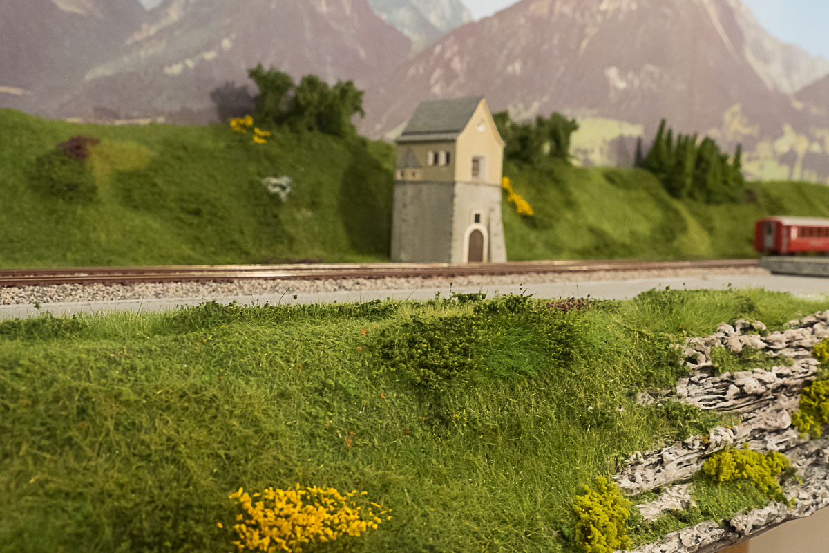 2023 03 24 - vegetazione-13.jpg