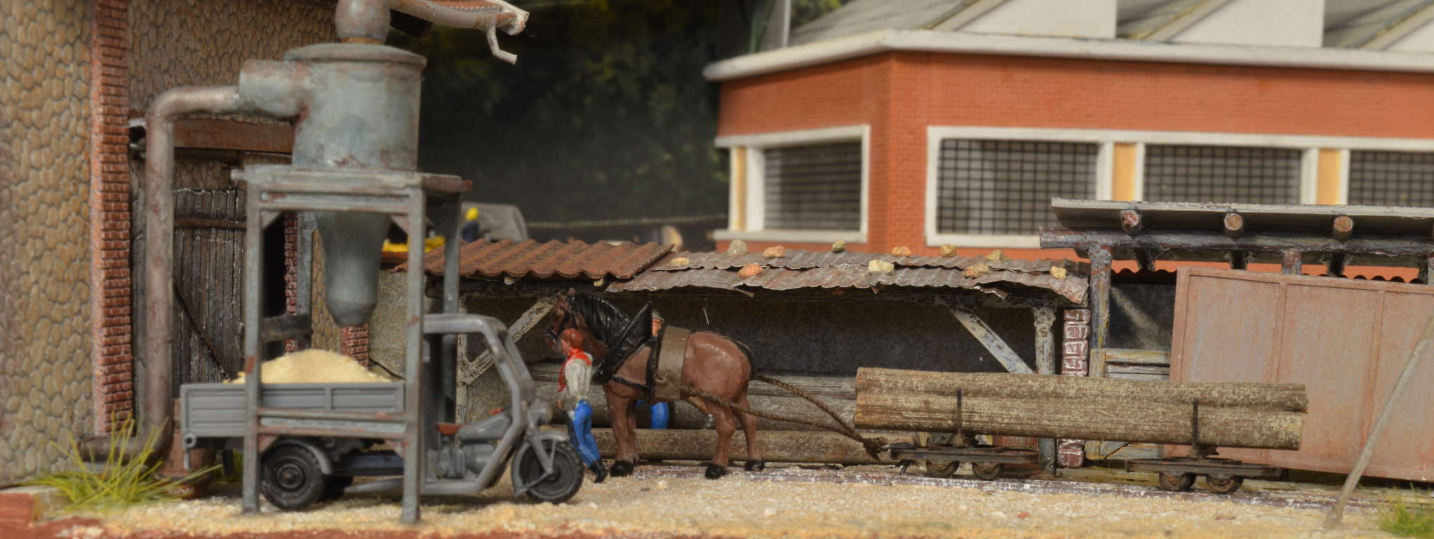 DSC_5931 (FILEminimizer).JPG