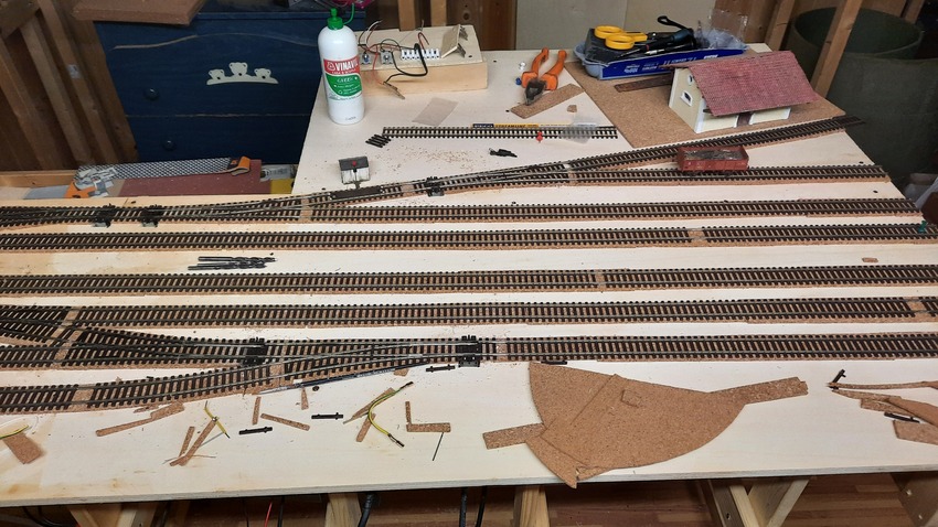 20231008_192814 (1).jpg