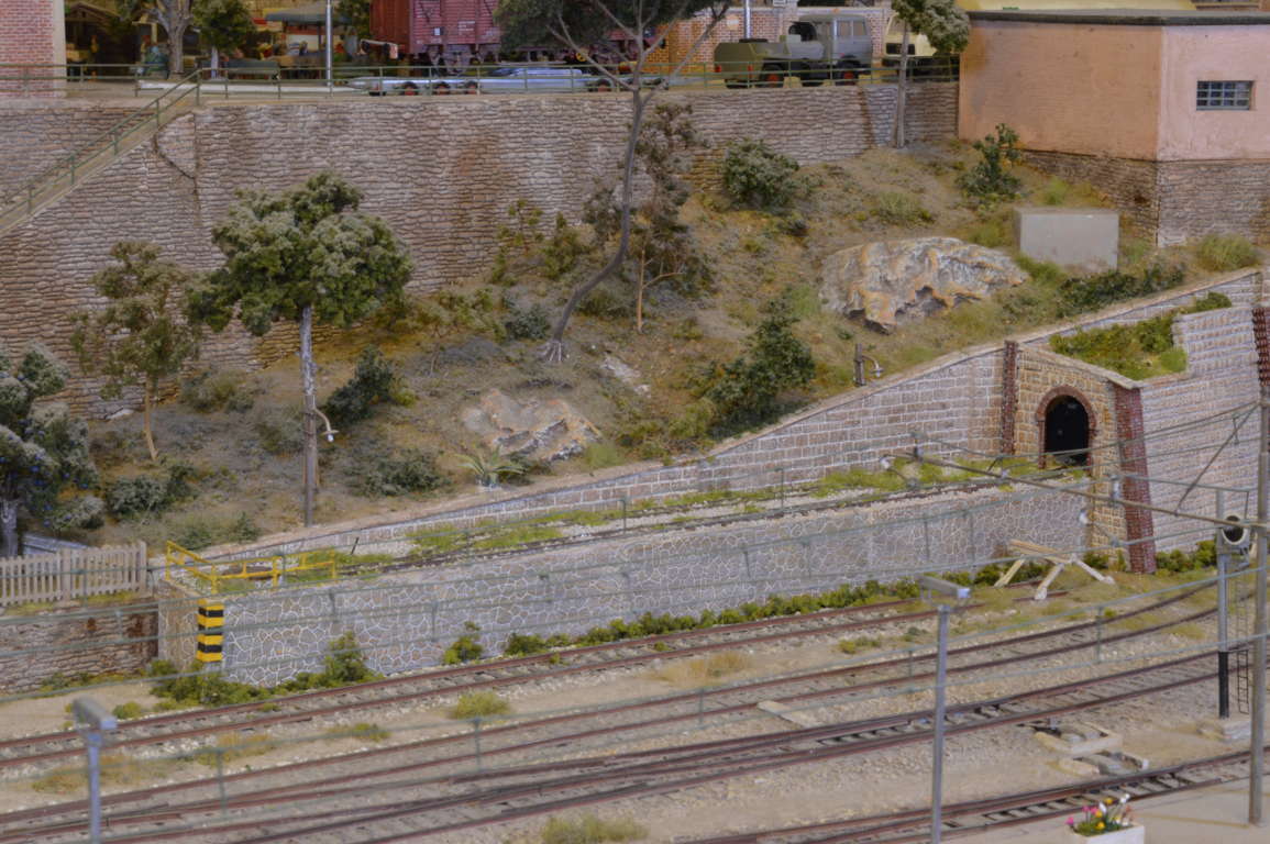 DSC_6592 (FILEminimizer).JPG