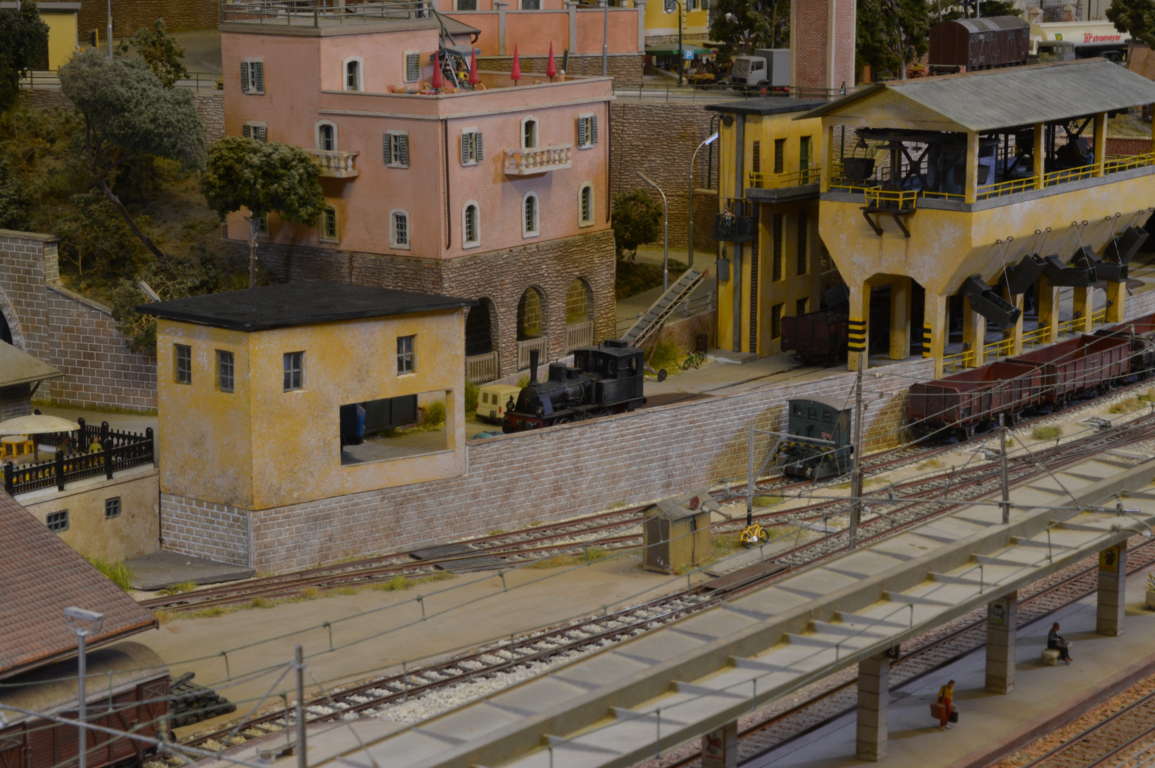 DSC_6713 (FILEminimizer).JPG