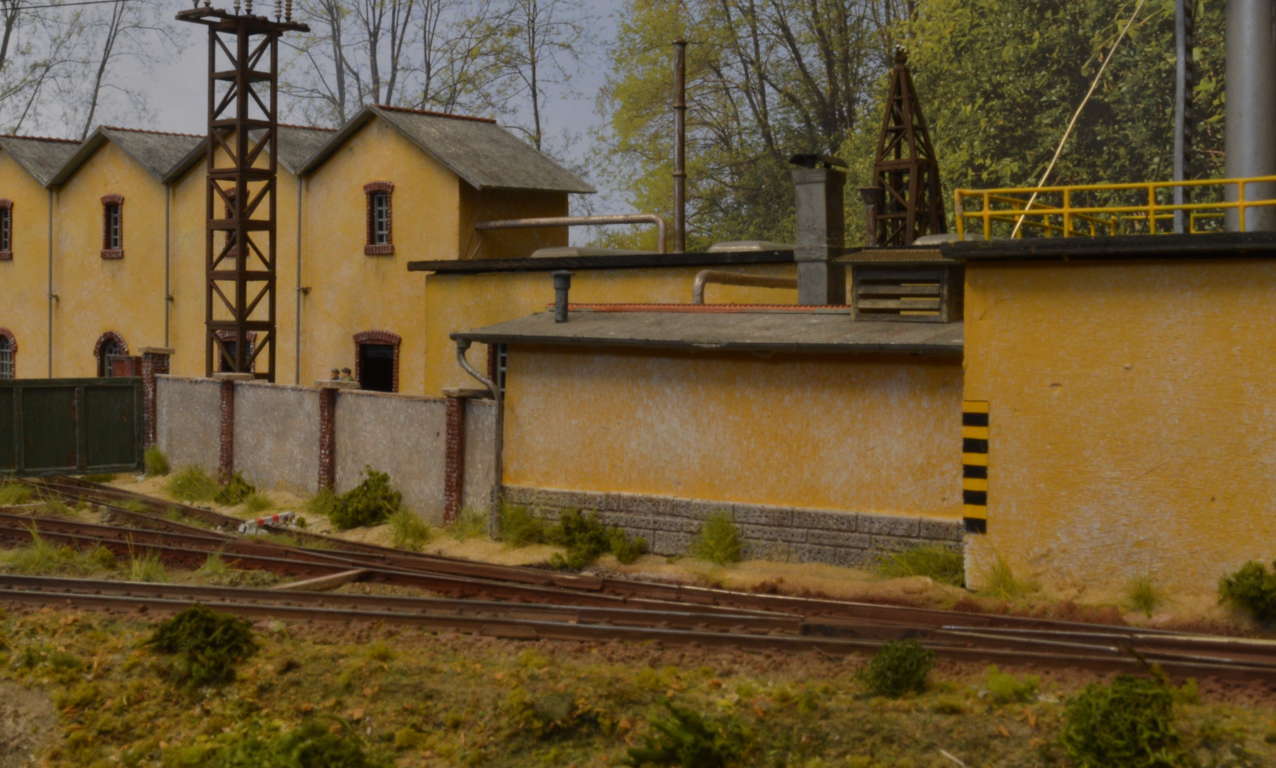 DSC_6408 (FILEminimizer).JPG