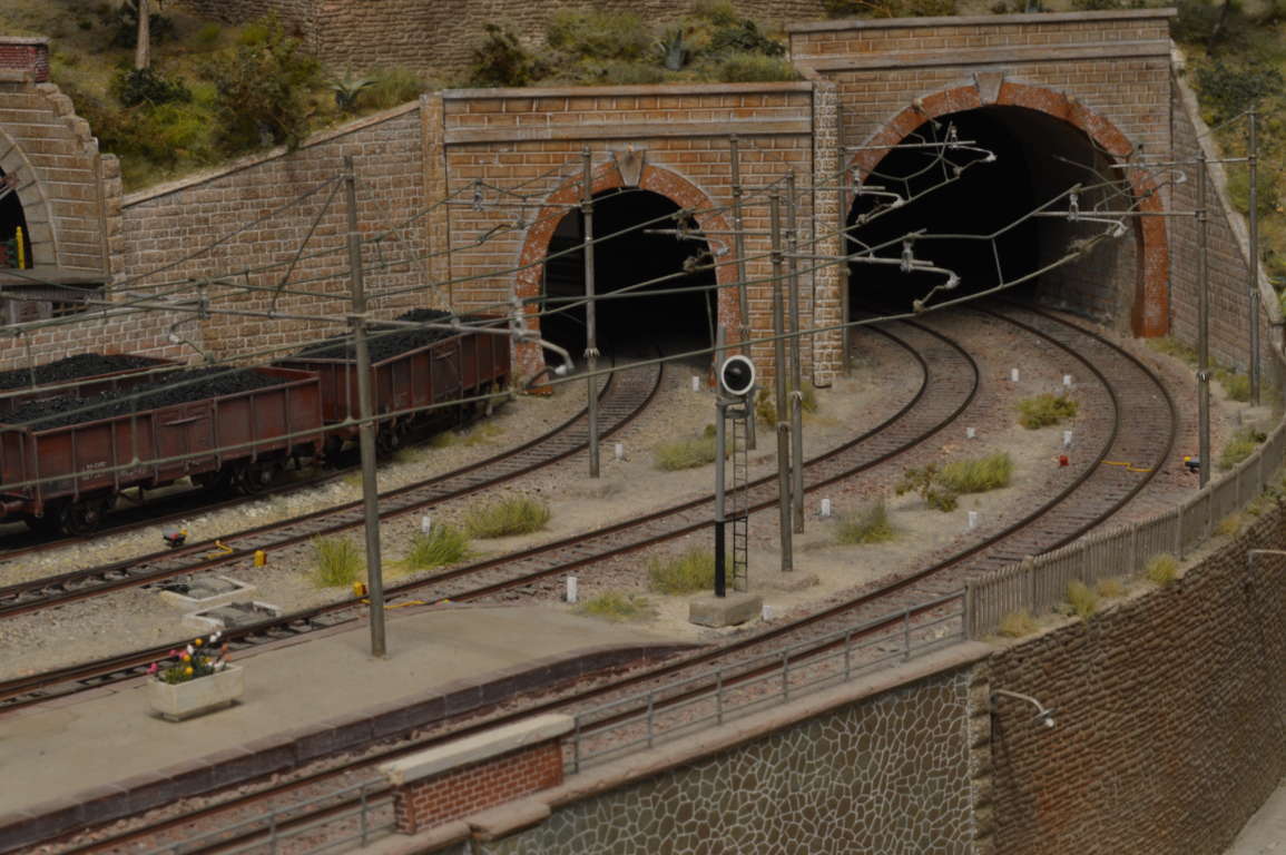 DSC_6804 (FILEminimizer).JPG