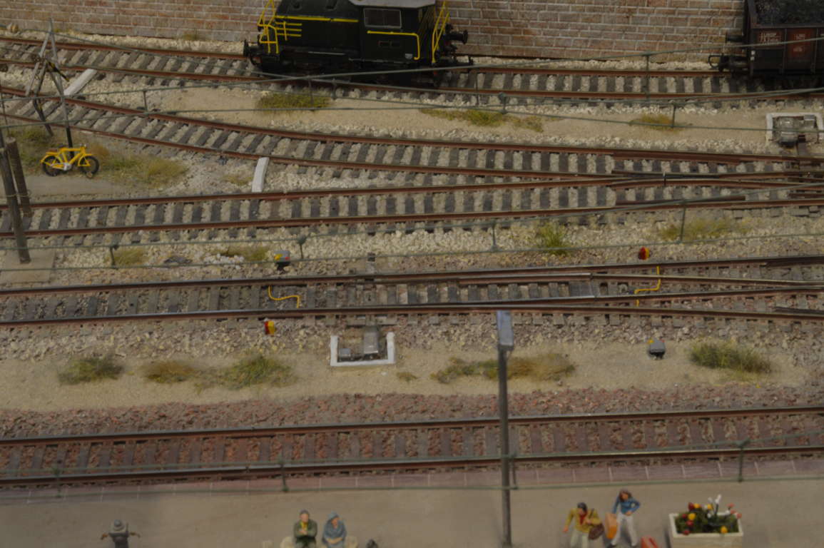 DSC_6802 (FILEminimizer).JPG