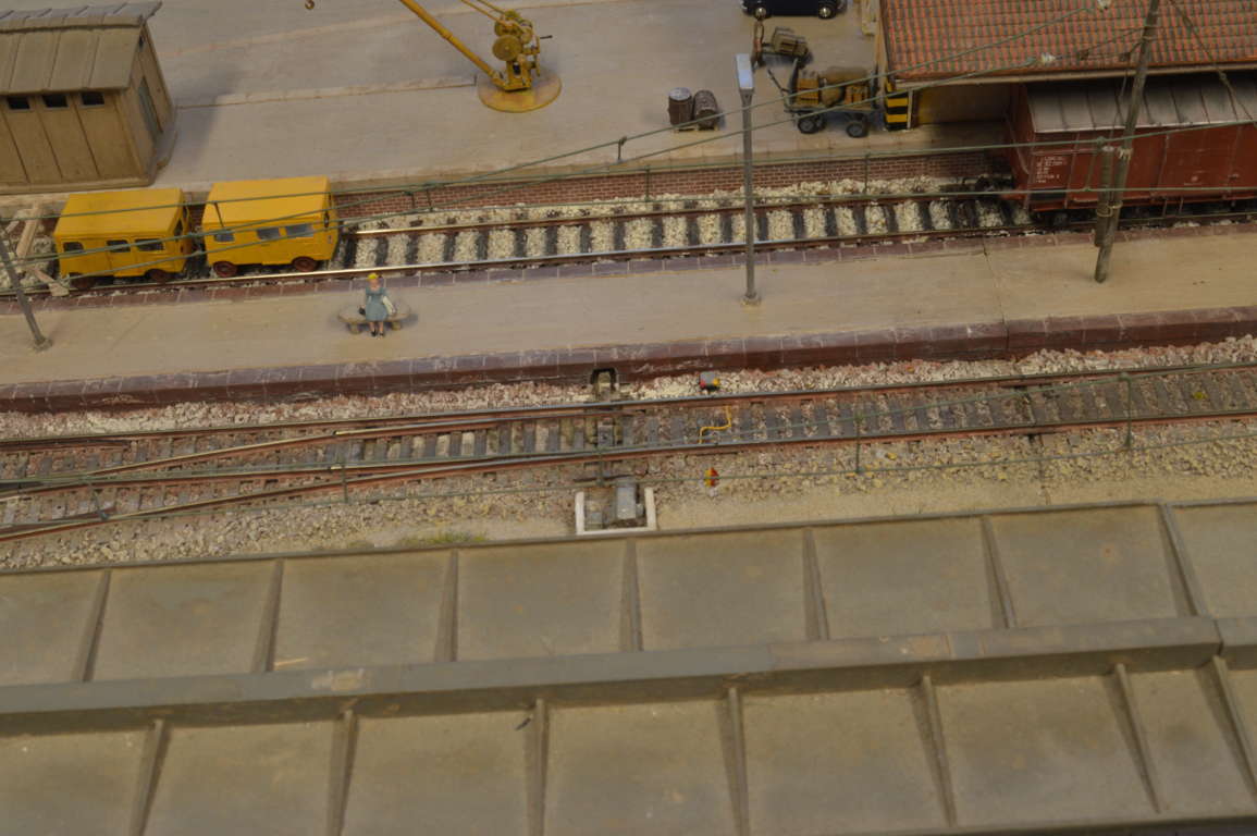 DSC_6800 (FILEminimizer).JPG