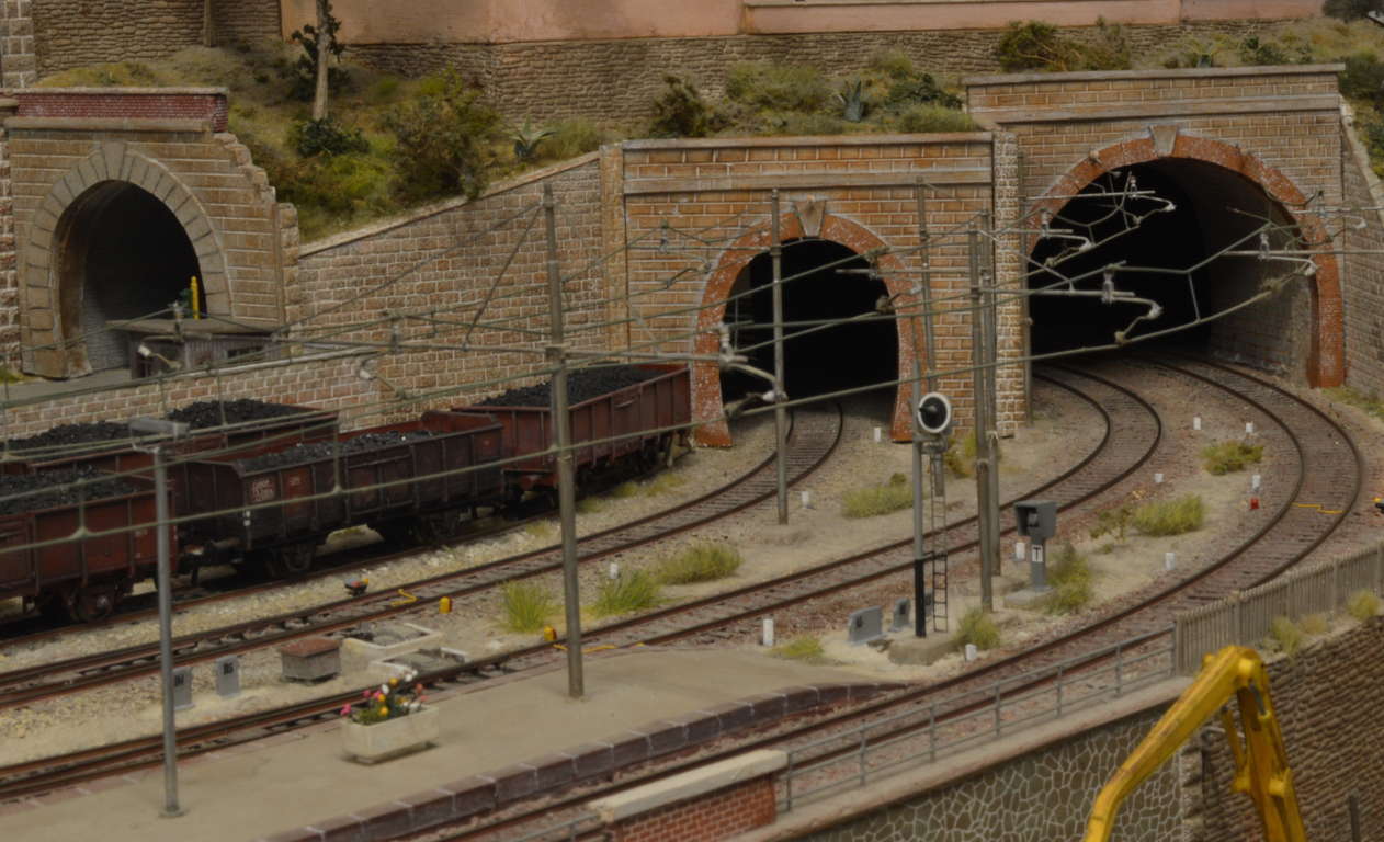 DSC_6830bis (FILEminimizer).jpg