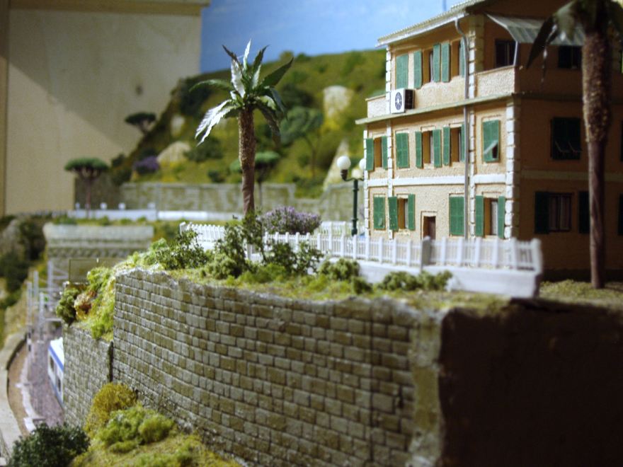 Nuovo tipo di palma.JPG
