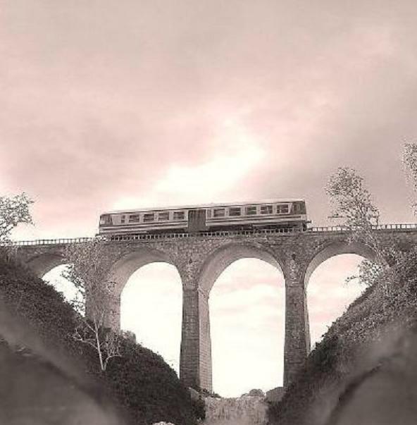 HPIM1306 - Copia.JPG