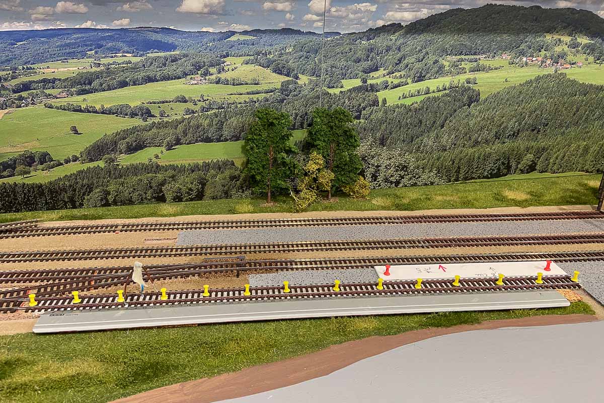 2025 03 24 foto 2.jpg