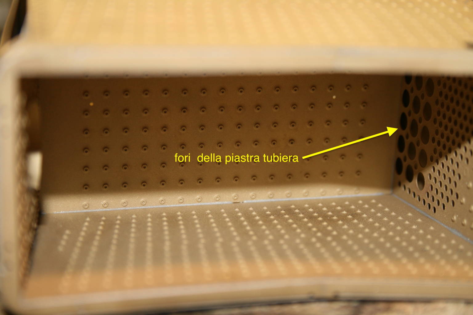 IMG_1014 (FILEminimizer).JPG