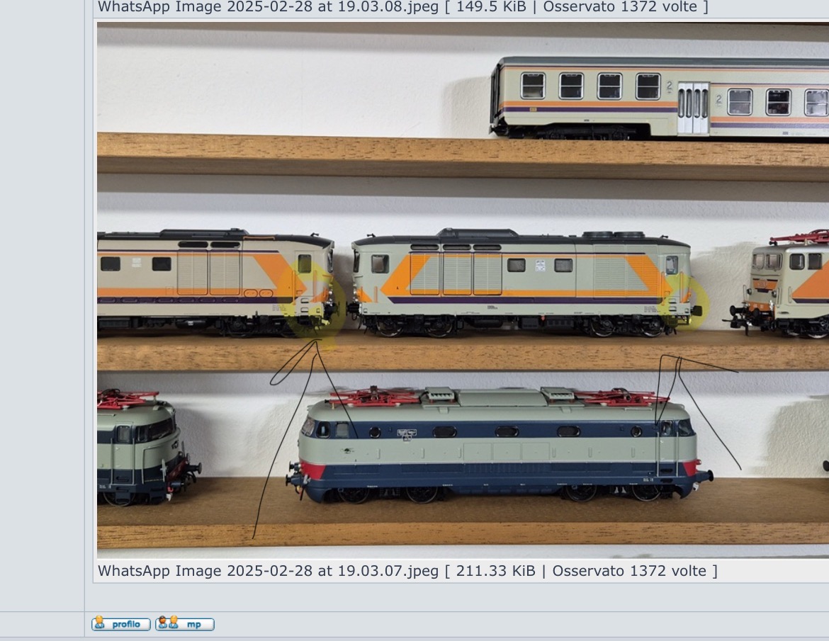 IMG_4874.jpeg