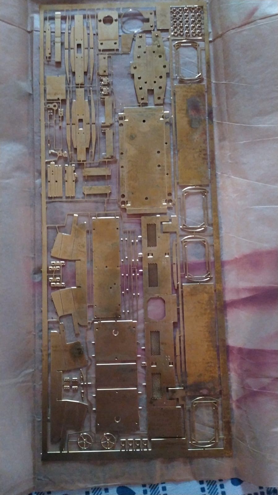 Sogliola a balconcino 1.jpg