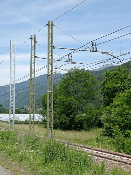 Pali.jpg