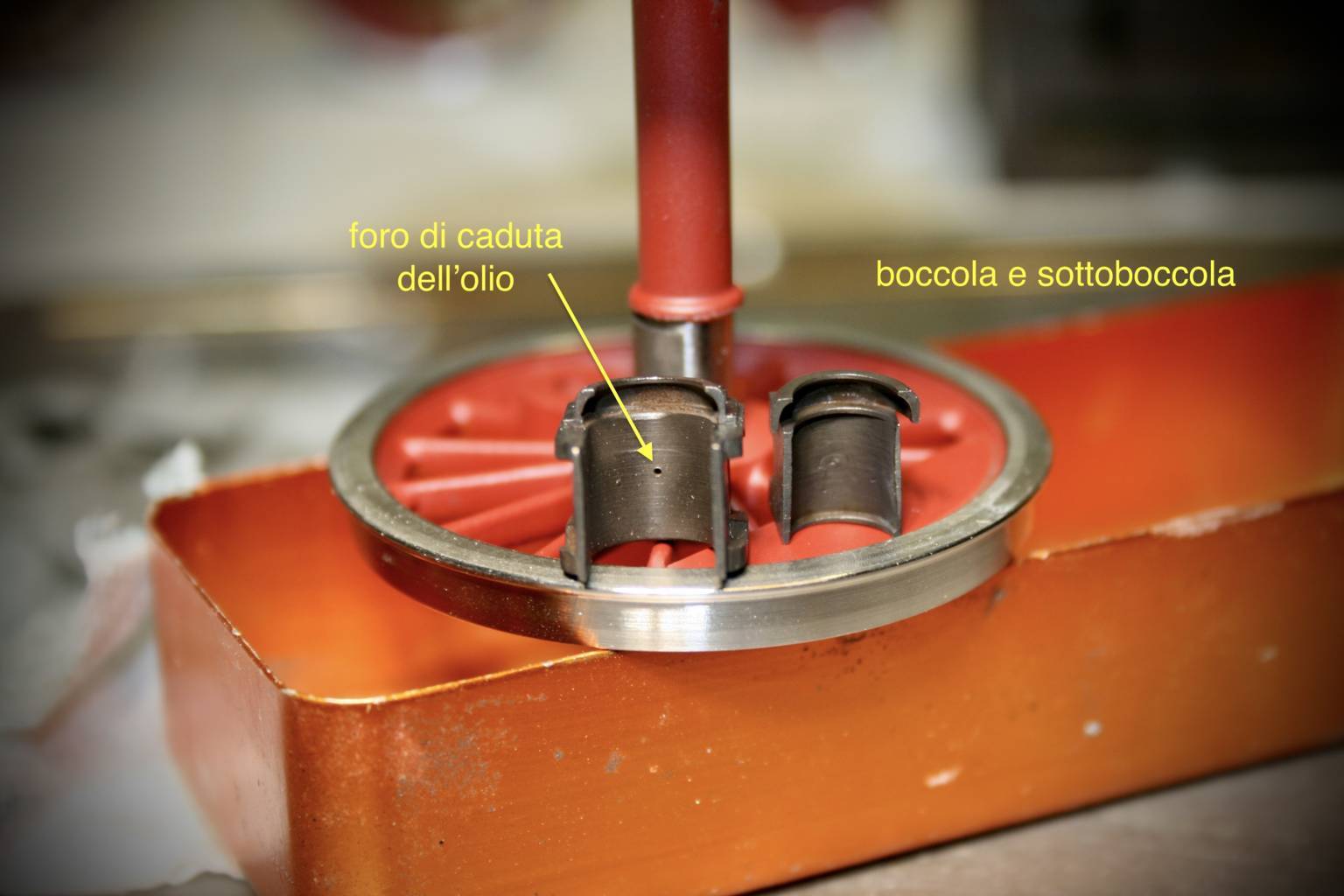 IMG_1714 (FILEminimizer).JPG