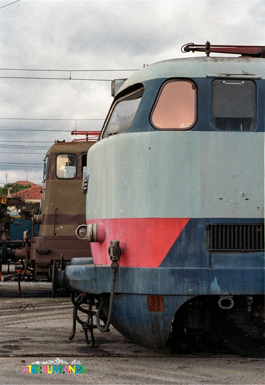06-Mod.jpg