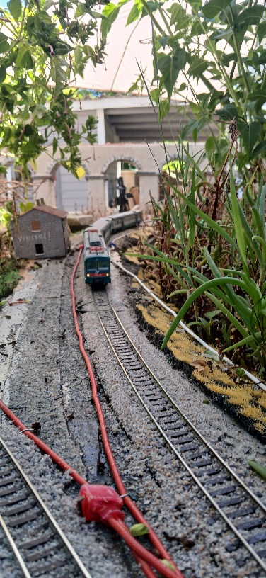 20260913_145115.jpg