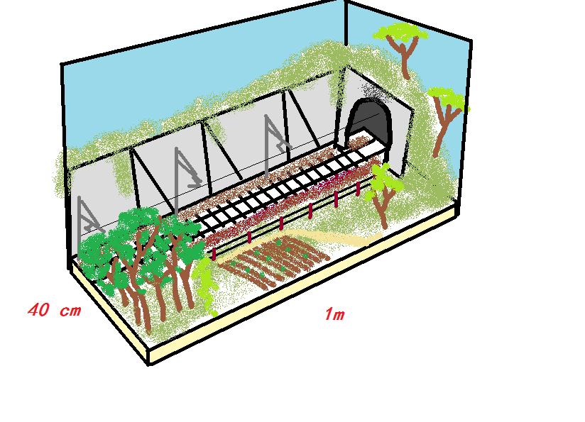 diorama ferrovia.jpg