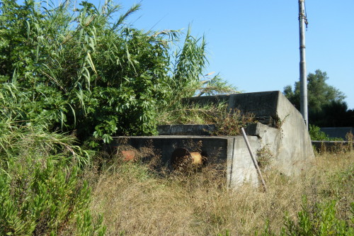 Paraurti.JPG
