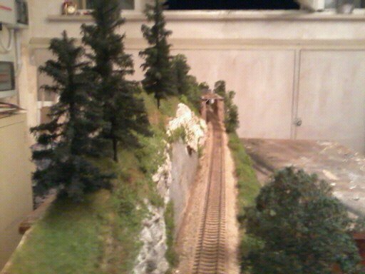 gatto michele 918.jpg