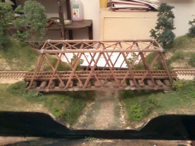 gatto michele 903.jpg