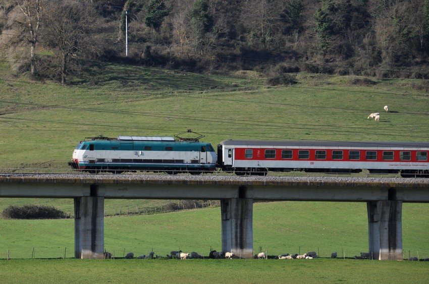 DSC_1238 - Copia.JPG