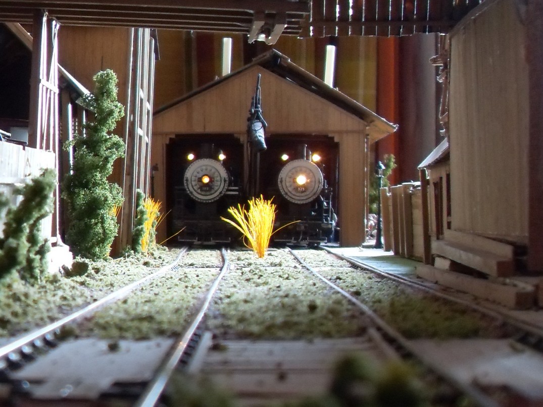 SDC13434 (Copia).JPG