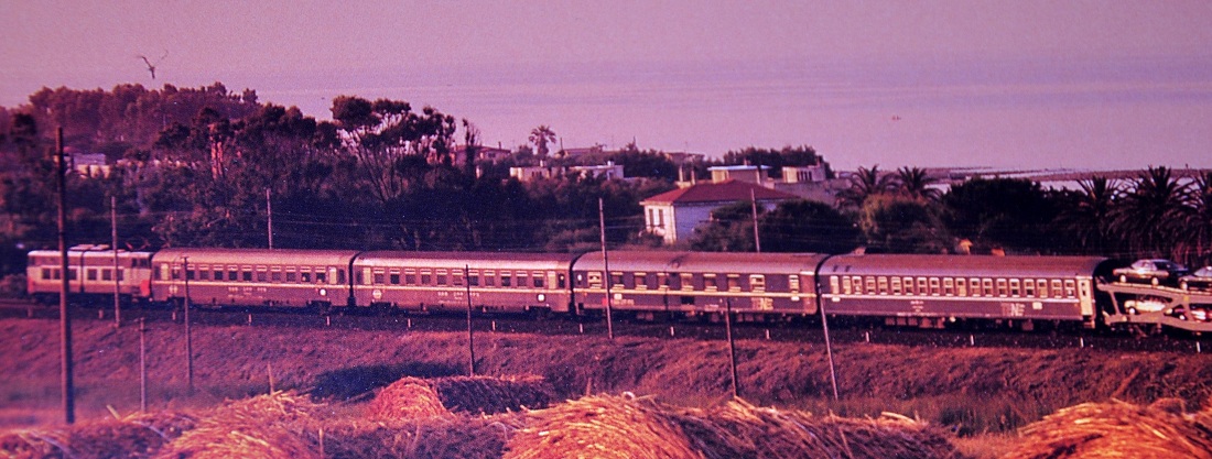 DSC_0531 - Copia (2).JPG