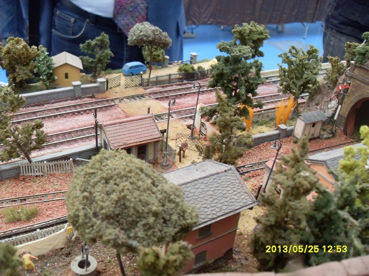 SDC13607 (Copia).JPG