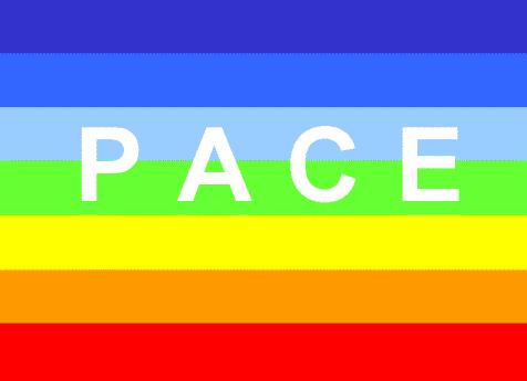 bandieraPACE.JPG