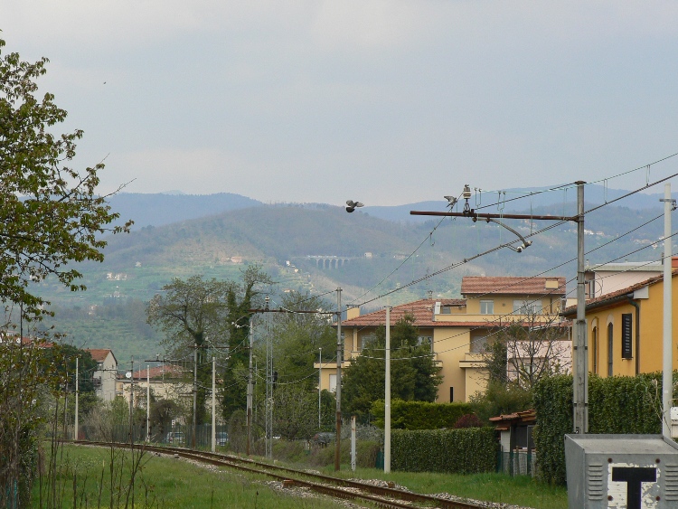 P1040858.JPG