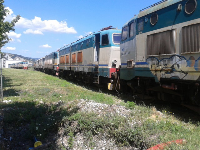 caimani in attesa2.jpg